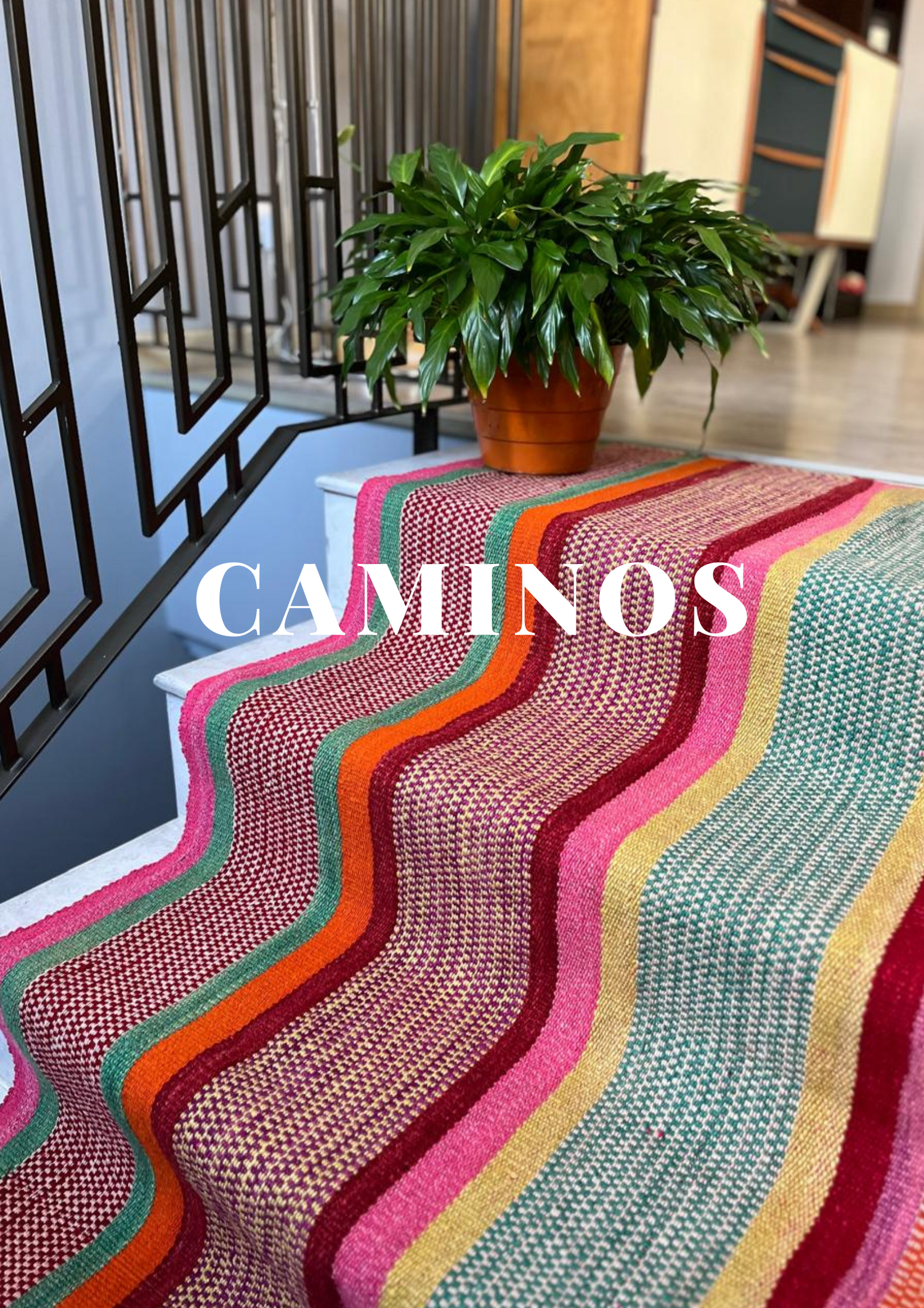 Caminos