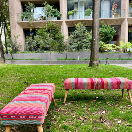 Banca Frida