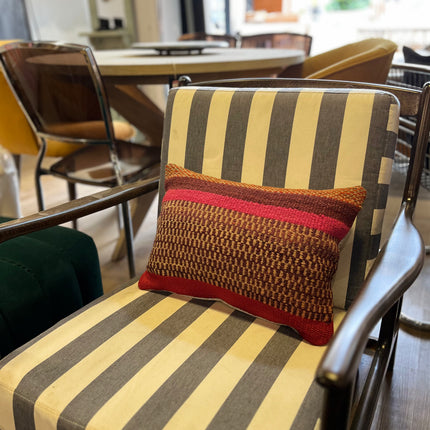 Andean Cushion M004