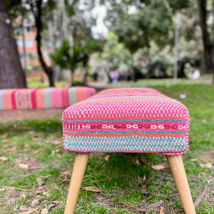 Banca Frida