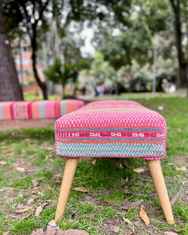 Banca Frida